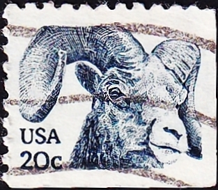  1982  .   (Ovis canadensis) .  6,0 .(2)